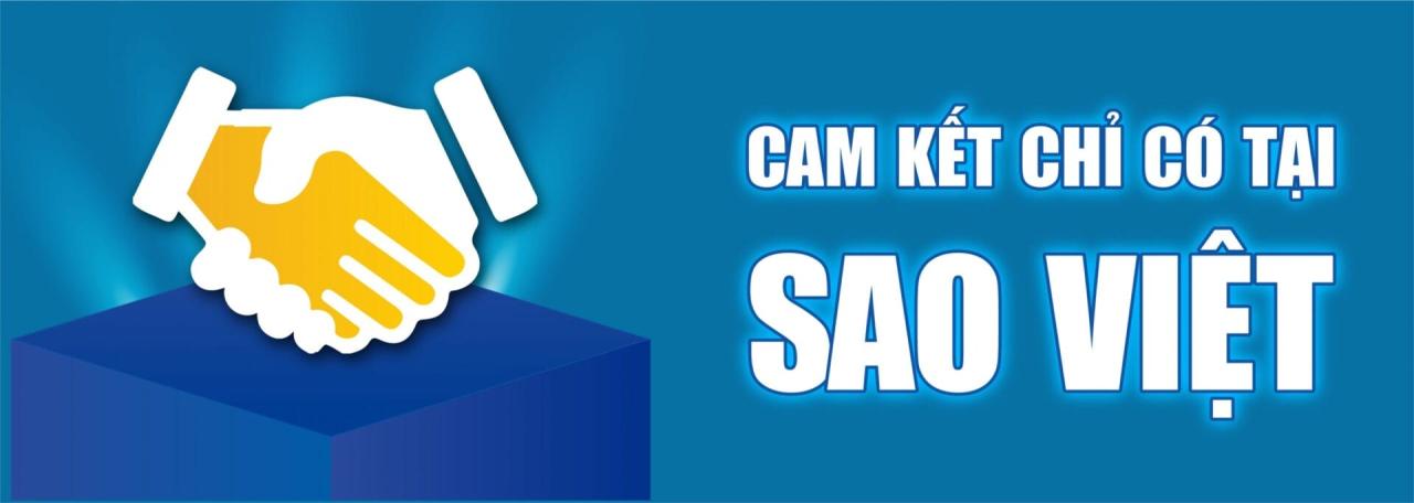 cam ket tai sao viet scaled 110