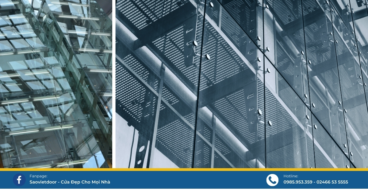 Chân Nhện VVP 55 vach kinh chan nhen 4