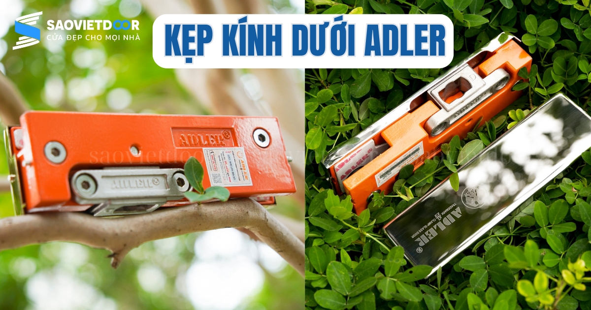 Kẹp dưới Adler